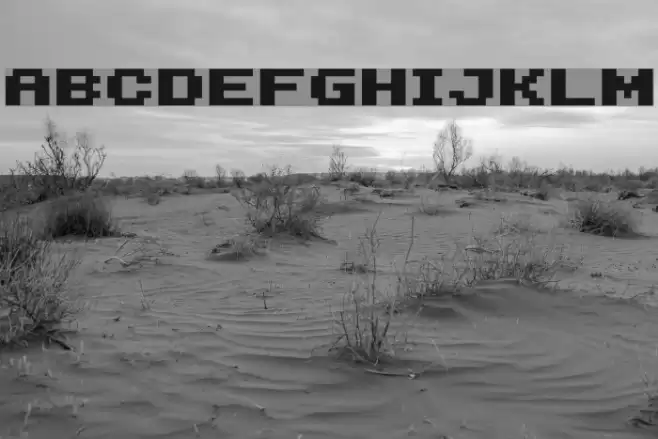 04b_11 Font examples