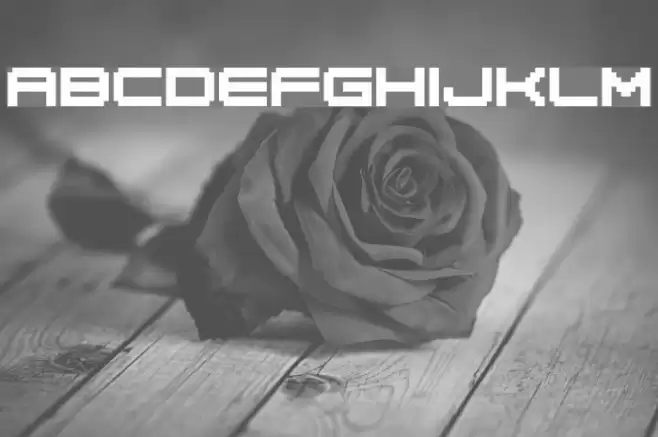 04b_20 字体 examples