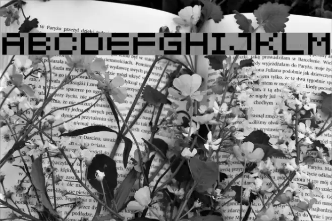 04b_21 Font examples