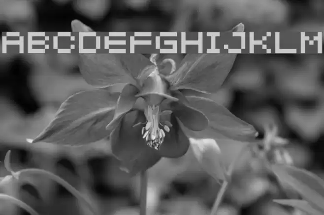 04b_21 Font examples