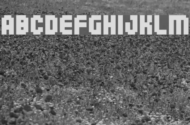 04b_25 Font examples