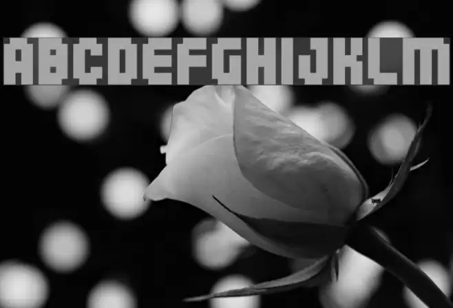 04b_25 Font examples