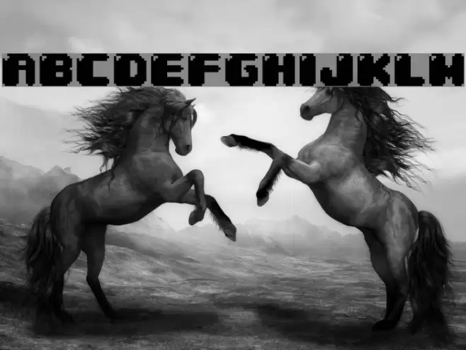 04b_30 Font examples