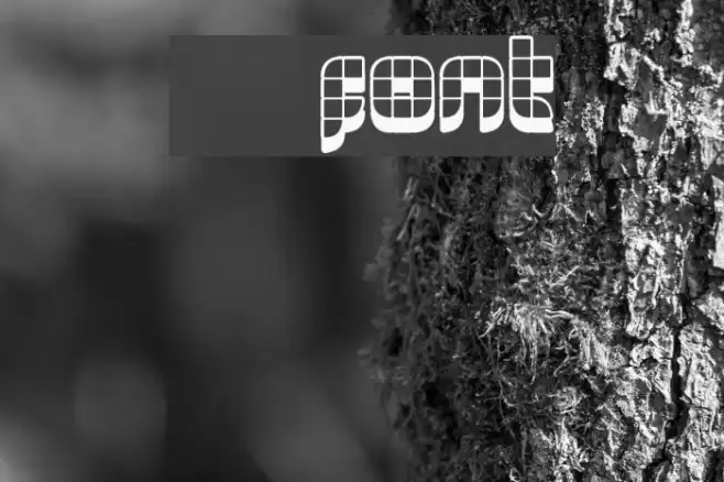 06 29 Caratteri examples