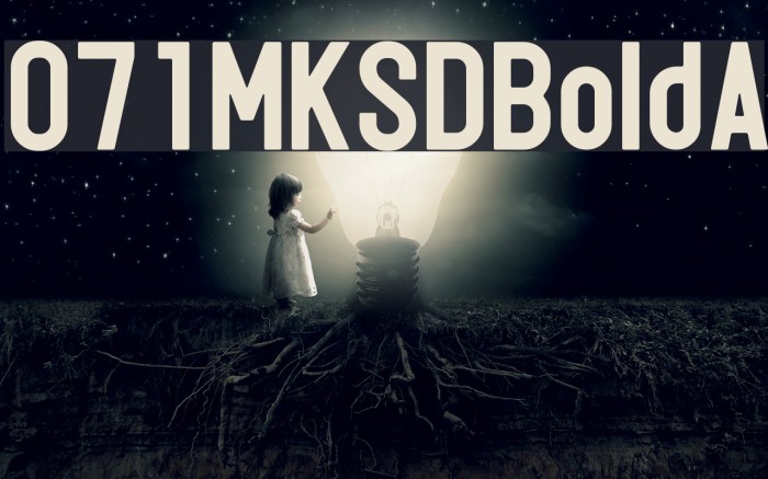 071MKSDBoldA Example 1