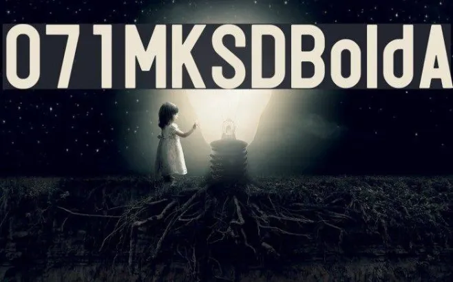 071MKSDBoldA Example 1