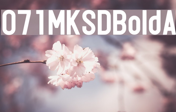 071MKSDBoldA Example 2