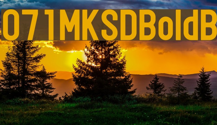 071MKSDBoldB Example 2