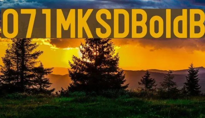 071MKSDBoldB Example 2