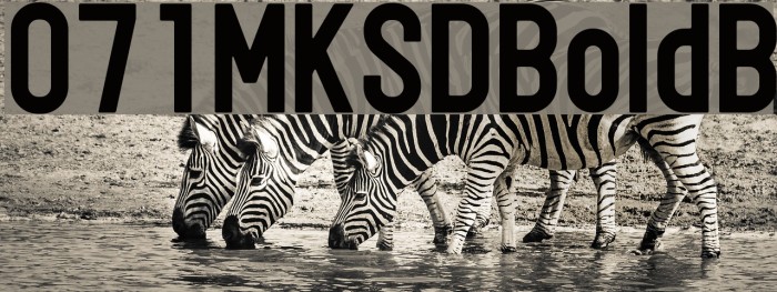 071MKSDBoldB Example 3