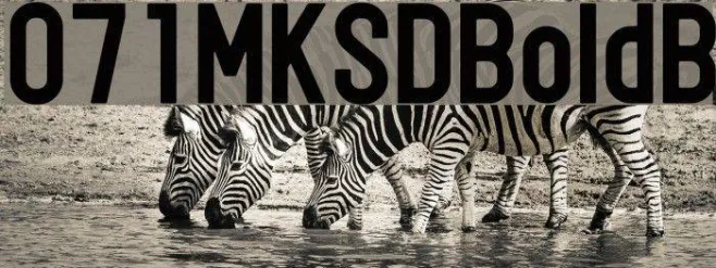 071MKSDBoldB Example 3