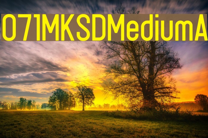 071MKSDMediumA Example 1