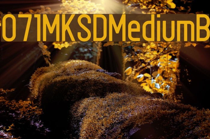 071MKSDMediumB Example 1