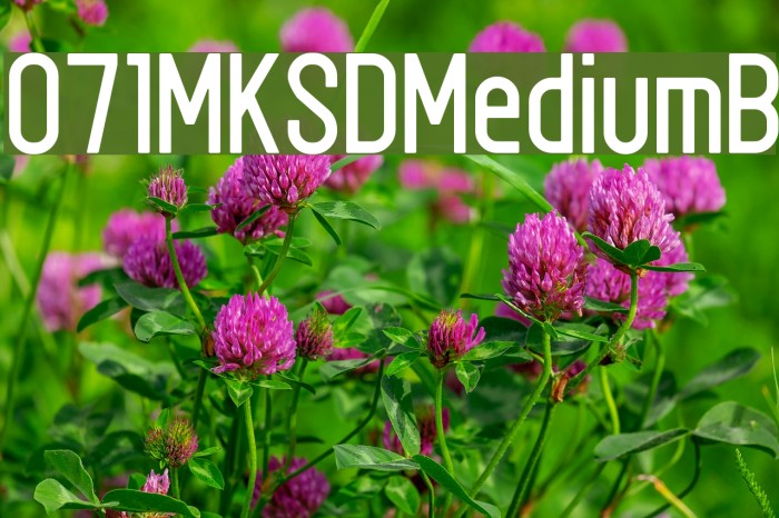 071MKSDMediumB Example 2