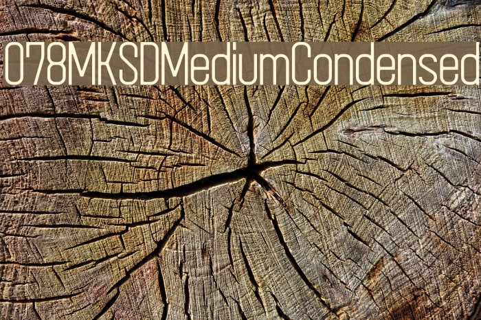 078MKSDMediumCondensed Example 3