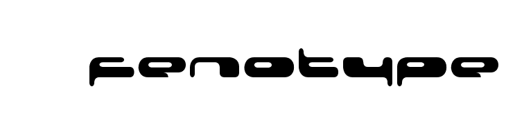 08 02 03 Fenotype Font