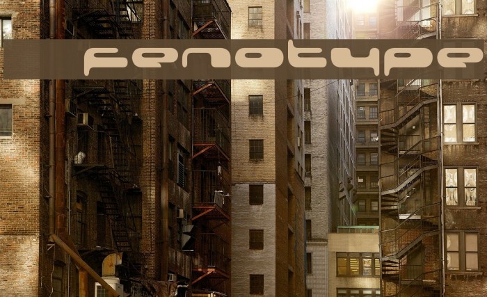 08 02 03 Fenotype Font examples