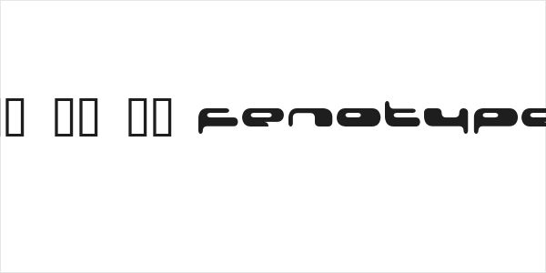 08 02 03 Fenotype Logo