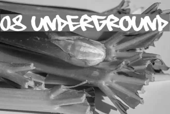 08 Underground Шрифта examples