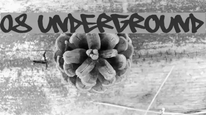 08 Underground Шрифта examples