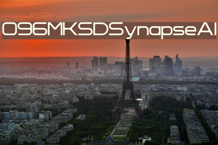 096MKSDSynapseAl Example 1