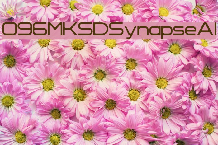 096MKSDSynapseAl Example 2