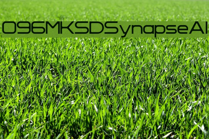 096MKSDSynapseAl Example 3