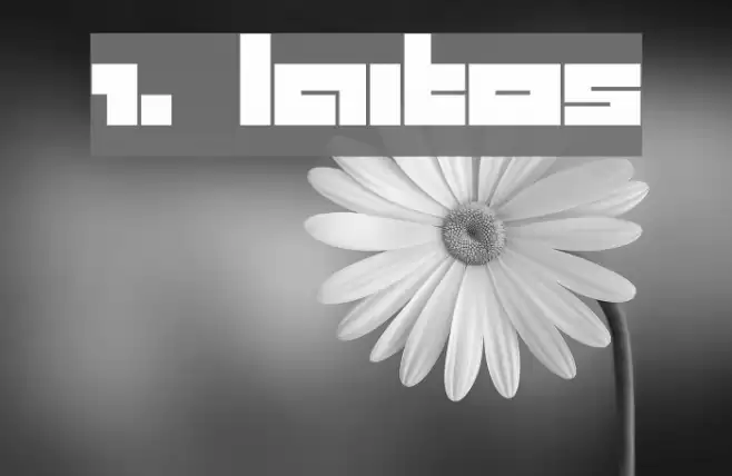 1. laitos Font examples