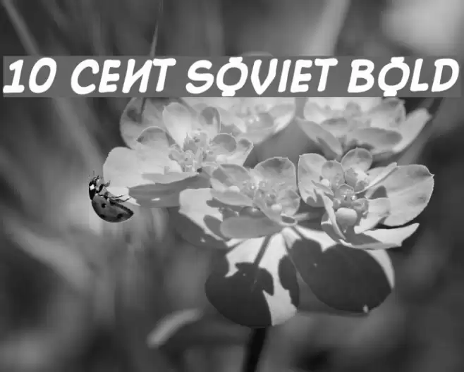 10 Cent Soviet Bold Schriftart examples