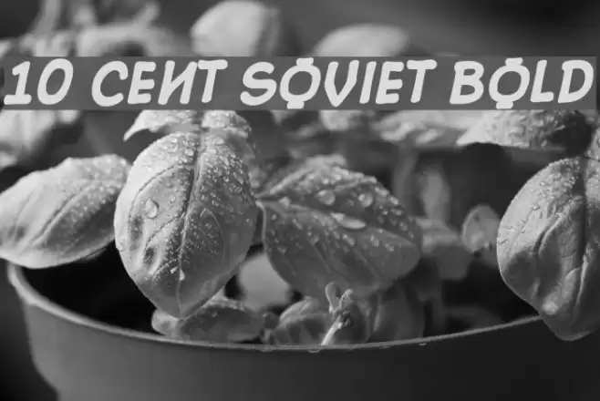 10 Cent Soviet Bold Schriftart examples