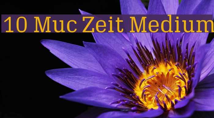 10 Muc Zeit Medium Font examples