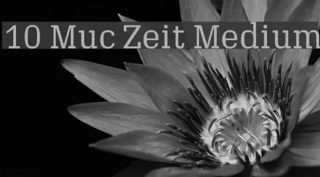 10 Muc Zeit Medium Шрифта examples