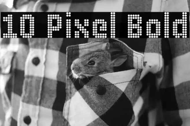 10 Pixel Bold Font examples