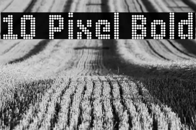 10 Pixel Bold Font examples