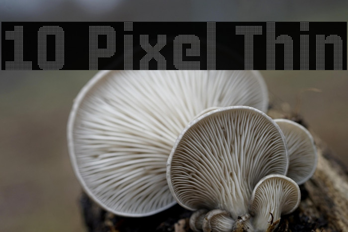 10 Pixel Thin Example 2