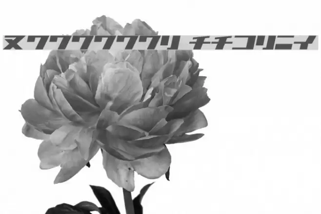 1000000volt KanaOblique Font examples