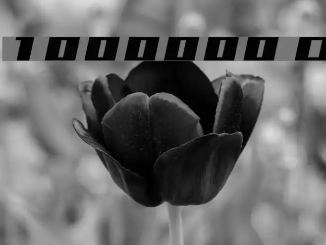 1000000volt Oblique Font examples