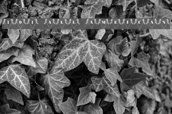 101! All American フォント examples