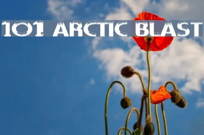 101! Arctic Blast Example 2