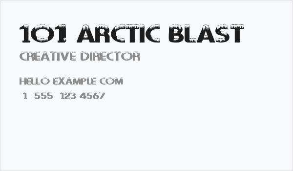 101! Arctic Blast Business Card