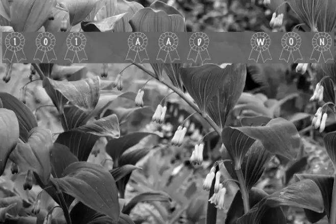 101! Awards Won Font examples