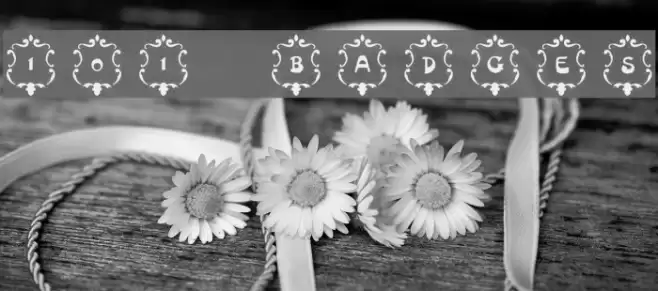 101! Badges Font examples