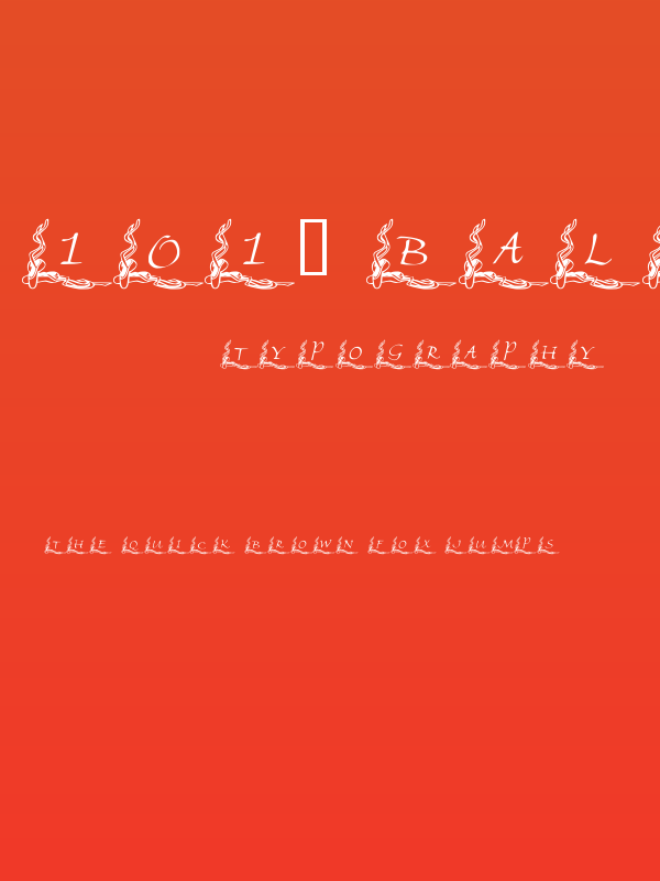 101! Ballet BorderZ Poster