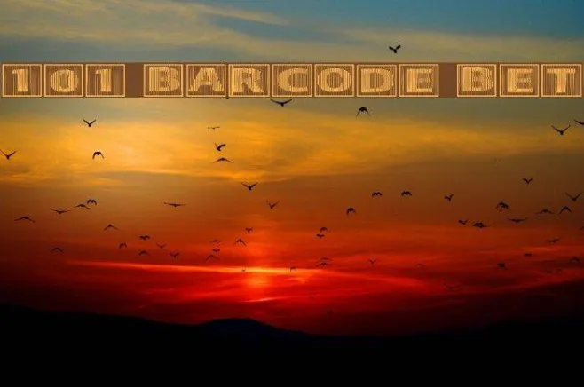 101! BarCode 'Bet Example 1