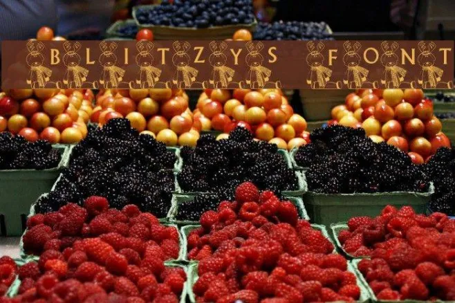 101! Blitzy's Font Example 1