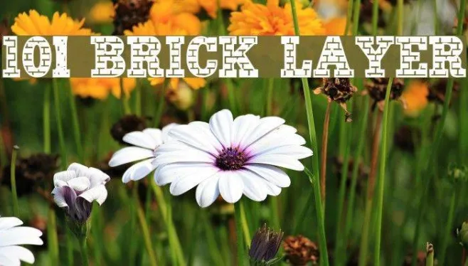 101! Brick Layer Example 2