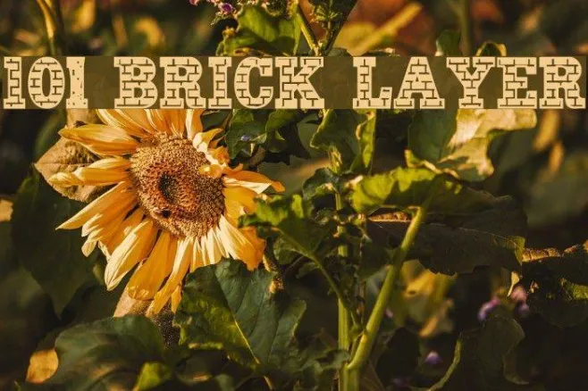101! Brick Layer Example 3