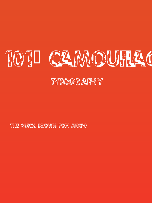 101! Camouflage Poster