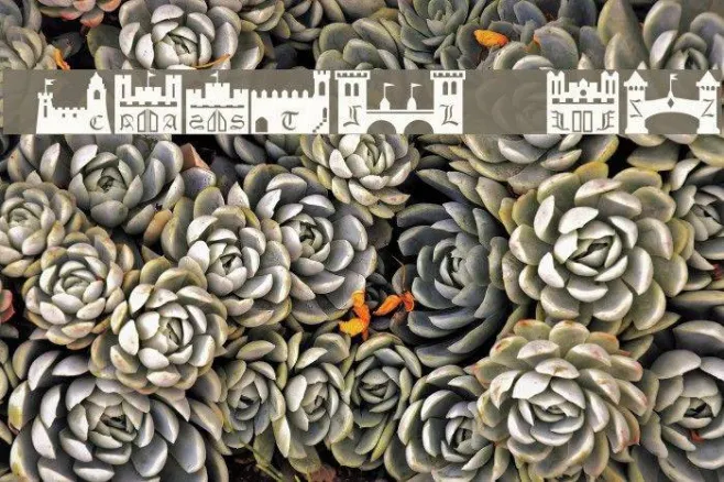 101! CastleZ Example 1