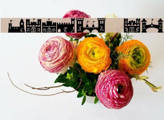 101! CastleZ Example 3